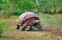 6 Days Galapagos Island Hopping