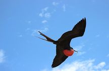 6 Days Galapagos Island Hopping