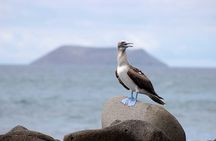 6 Days Galapagos Island Hopping