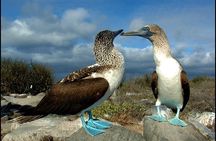 10 Days Galapagos Island Hopping