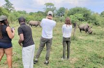 A Private Game Drive White Rhino Short walk 