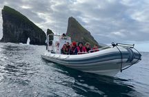 Drangarnir Sea Stacks Boat Tour