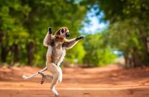 8 Day -RN7 Road trip tour to South Mangily Ifaty