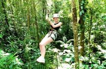 Treetops Zipline Tour with Drop off Transfer to Nadi Airport