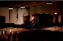 Taste of History Tour in Seppeltsfield 