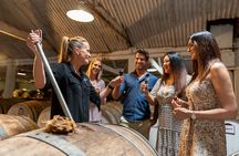 Taste of History Tour in Seppeltsfield 