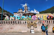 Monarch Butterfly Tour Mexico: Sierra Chuincua and Magic Town