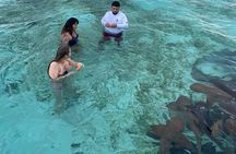 Shark & Ray Afternoon Swim Tiki Bar Cruise