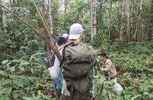 Amazon Paradise 3 Days and 2 Nights Ecolodge