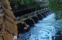 Monkey Forest, Holy Water Temple & Hot Springs Tours