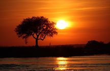 2 Hour Sundowners Jet Boat Safari in Victoria Falls