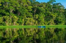 Tortuguero:Canoe tour, day hike, hill tour, night or spawning tour