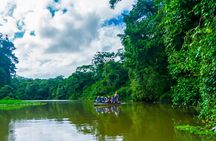 Tortuguero:Canoe tour, day hike, hill tour, night or spawning tour