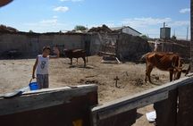 Kolkhoz: Private visit to the cotton farmers' village