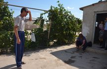 Kolkhoz: Private visit to the cotton farmers' village