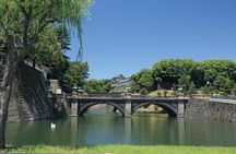 Half-day Tokyo Afternoon Tour by Hato Bus