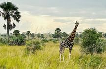 2 Days Budget Safari to Murchison Falls National Park