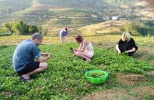 3-Days Sapa Trekking With Local Guide Overnight in Tavan Village