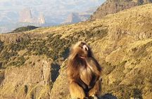 2 Nights 3 Days Trek to Semien Mountain