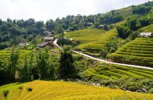 3-Days Sapa Trekking With Local Guide Overnight in Tavan Village