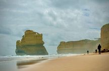 Premium Small Group Great Ocean Road & Wildlife with Lunch