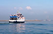 Howth - Howth Cliffs & Ireland's Eye 1 hour Tour