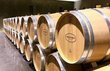 Saint-Emilion Small-Group Electric Bike Wine Tour Tastings & Lunch from Bordeaux