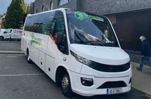 Private High-end Tour Dublin with Guinness and Whiskey 