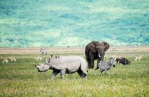 3 Days Safari Tour in Tarangire and Ngorongoro