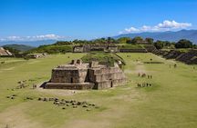 Airport Trasfers and Included Excursions Package