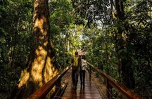 4 Day Tour in Tambopata National Reserve