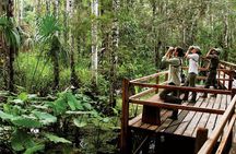 4 Day Tour in Tambopata National Reserve