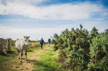 From Cardiff: The Gower - Mumbles, Three Cliffs And Worms Head