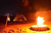 Overnight Desert Camping Abu Dhabi 