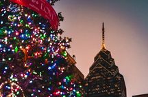 Philadelphia Holiday Lights Private 2.5 Hour Driving Tour