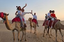 Overnight Desert Camping Abu Dhabi 