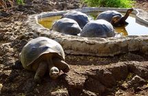 5 Days Guided Galapagos Adventure Trip