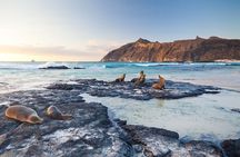 5 Days Guided Galapagos Adventure Trip