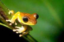 Tambopata Jungle Tour 3 Days in Amazon Garden Lodge