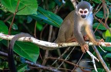Tambopata Jungle Tour 3 Days in Amazon Garden Lodge