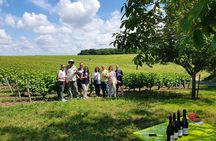 Loire Valley Day from Tours : Azay-le-Rideau, Villandry, Winery