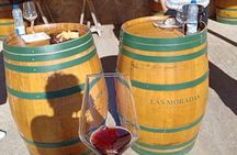 Madrid Winery Tour with Tasting & Sommelier Guide