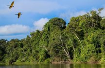 Manu Reserved Zone Tour 6 Days