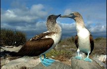 9 Days Galapagos Island Hopping