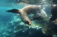 9 Days Galapagos Island Hopping