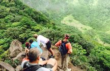 Trekking Mt. Liamuiga Volcano (Full-Day Guided )
