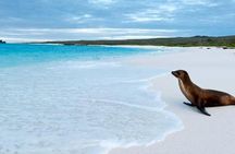 5 Days Galapagos Wildlife Discovery