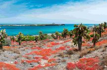 5 Days Galapagos Wildlife Discovery