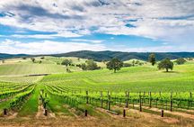 Wines and Whispers:Barossa Valley Private Wine Tour from Adelaide