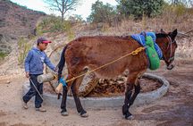 Shared Zapotec Highlights Tour in Oaxaca